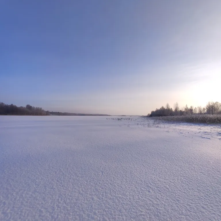 Коттедж Дом с террасой прямо на берегу реки — Торфяное