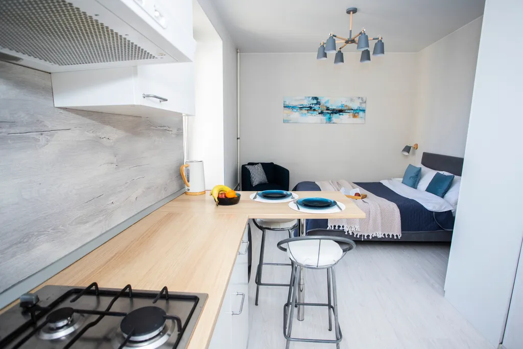 Уютная студия неподалеку от Дворцовой