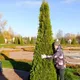 Галия
