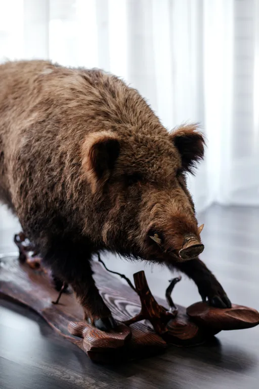 Уютный и просторный Гостевой дом "Тайга River"