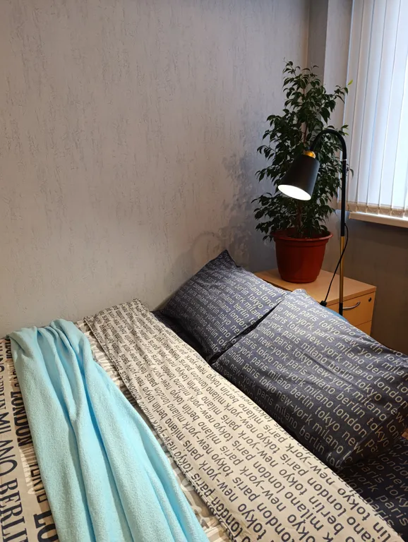 Квартира с видом на мост Дружбы