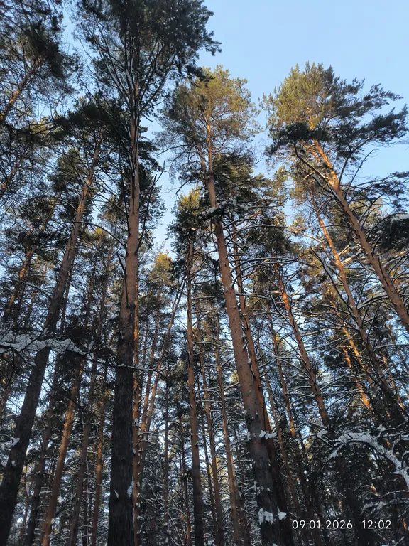 Квартира Квартира Фиолетт+ — Екатеринбург