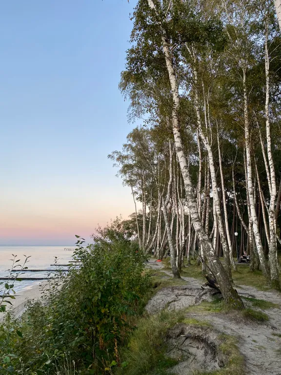 Квартира Балтийский Блюз с видом на море