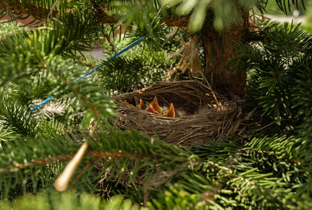 Дом с видом на лес и пруд 150 квадратов