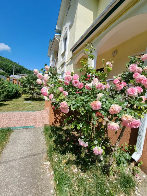 Двухместный эконом с двумя кроватями. Ванная своя напротив номера