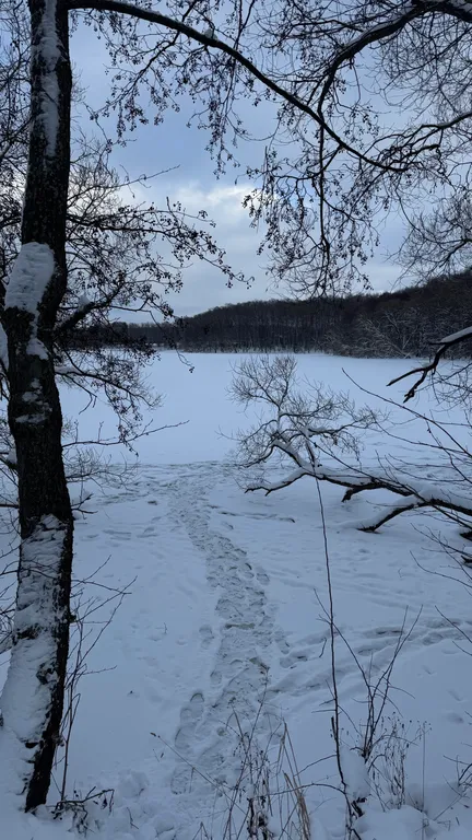 Уютный дом для душевного отдыха