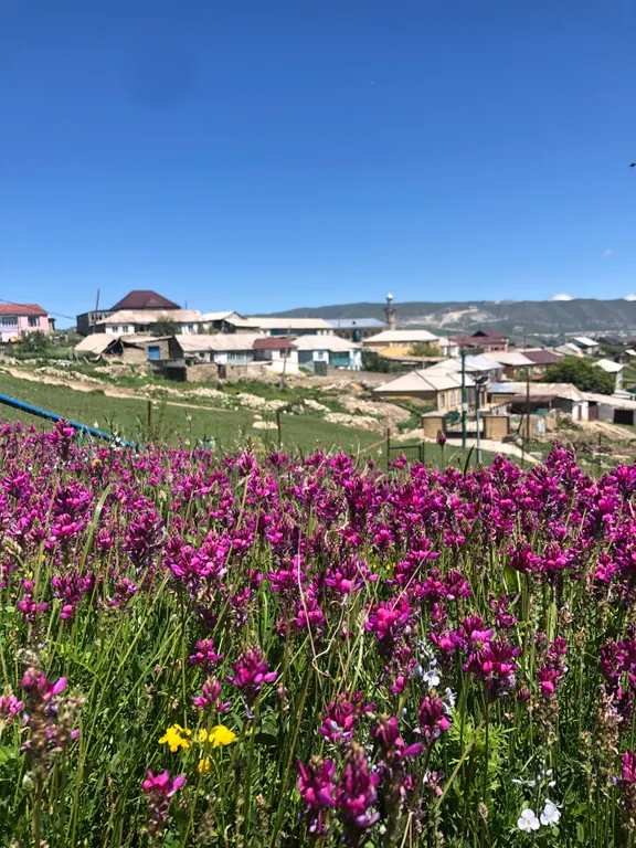 Уютный Дом С Видом На Горы