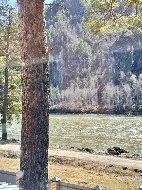 Новый круглогодичный 3-й коттедж на берегу Катуни