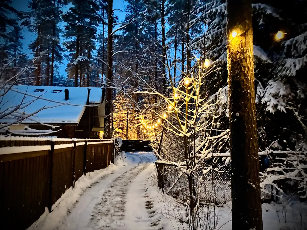 Прекрасный дом для отдыха в Комарово