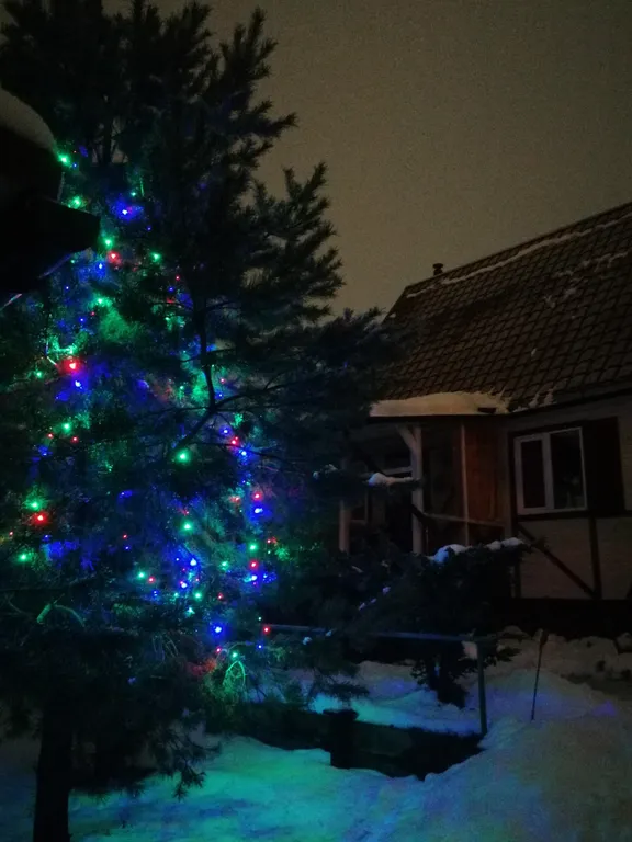 Приют горнолыжника