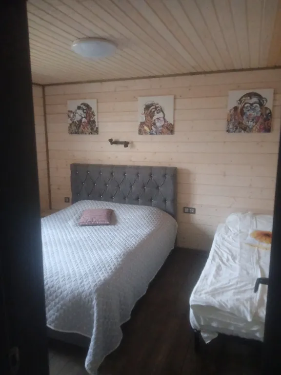 Коттедж Дом на озере — Борщево