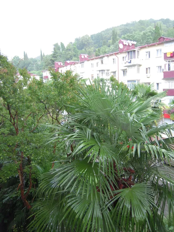 Уютная квартира в центре рядом с морем