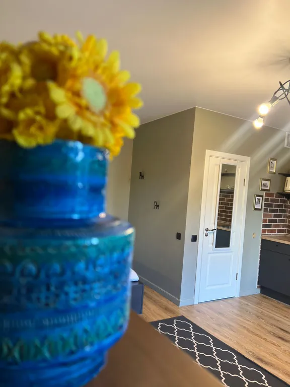 Уютные апартаменты у озера