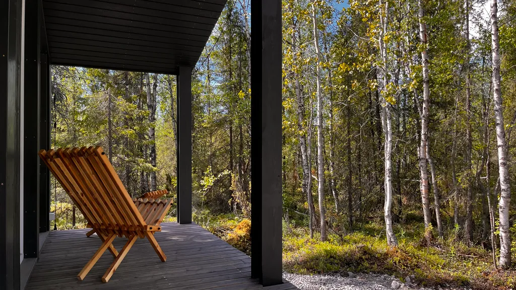 Дом среди леса в 15 минутах езды от города