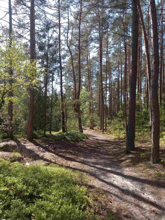 Квартира 1-комнатная Квартира — Сальское