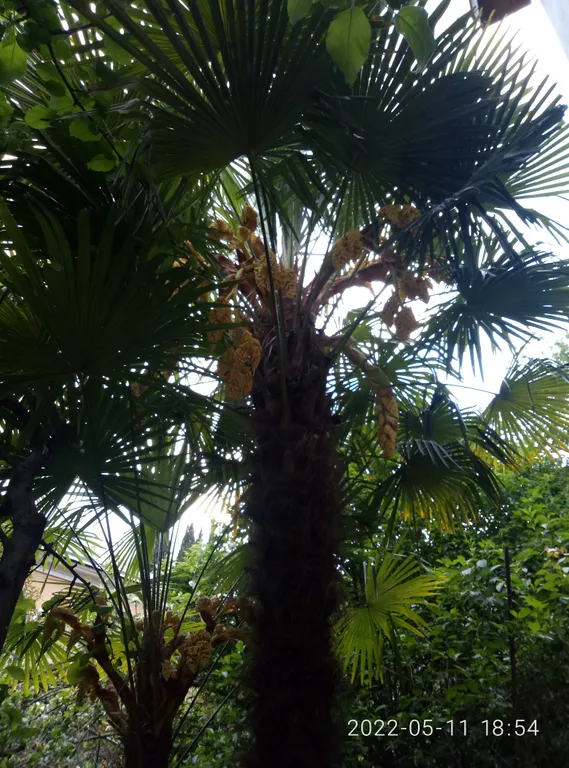 Уютный дом у моря со своим двориком и мангалом