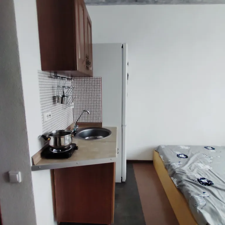 Студия в квартире с персональным санузлом и кухонным блоком