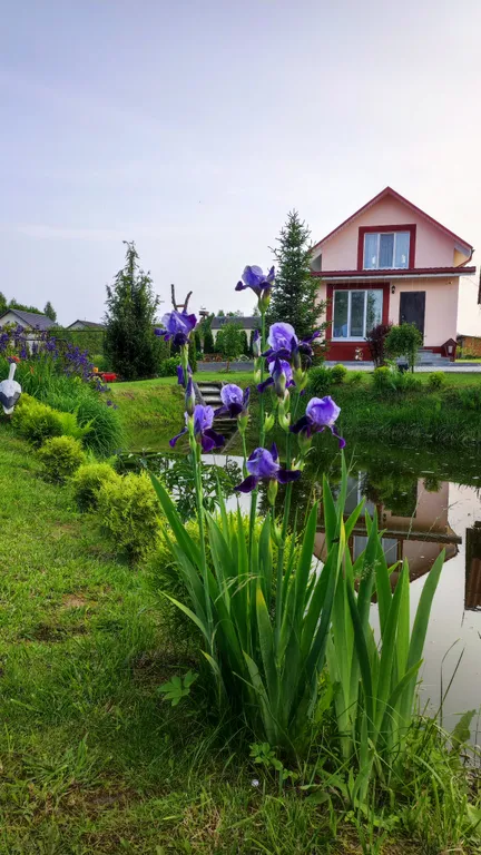 Агроусадьба с баней, на реке Птичь под Минском, с прудом