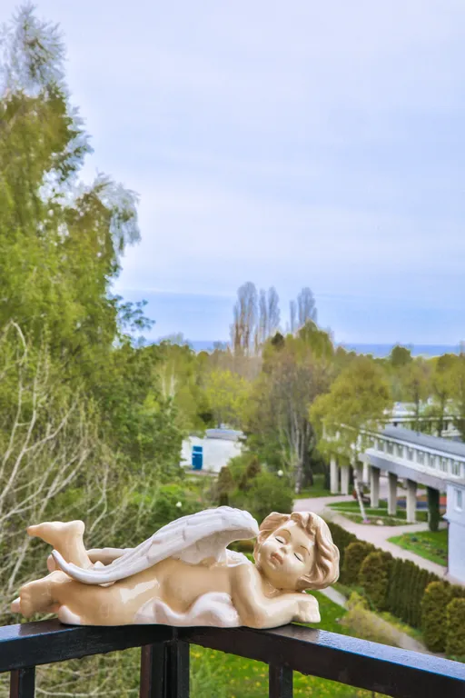 Квартира 1-комнатная Квартира — Светлогорск