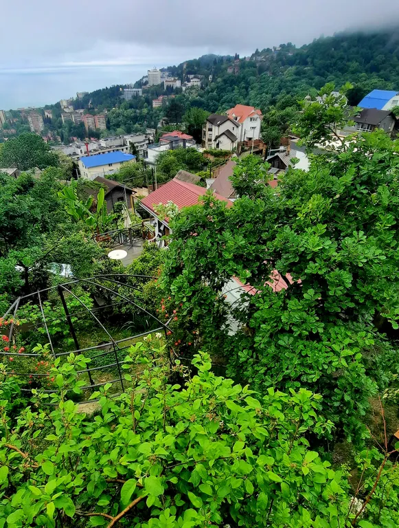 Коттедж Уютный дом с видом на море и горы — аренда посуточно в Хоста