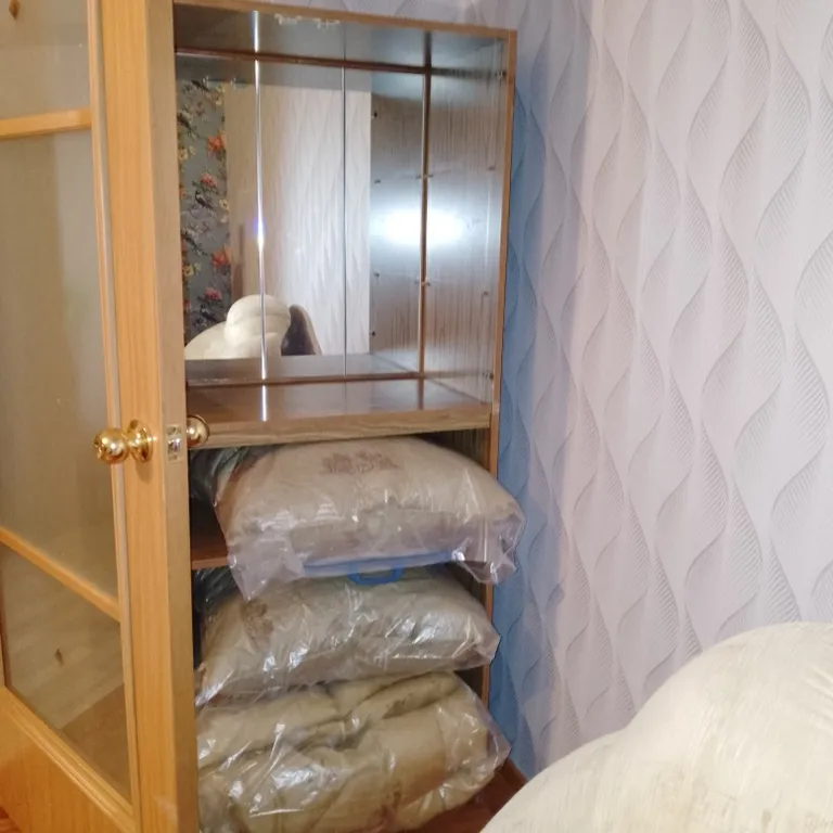 Уютная квартира в центре города с видом на аллею