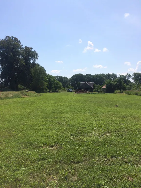 Чудесный дом в чудесном месте Беловежская пуща