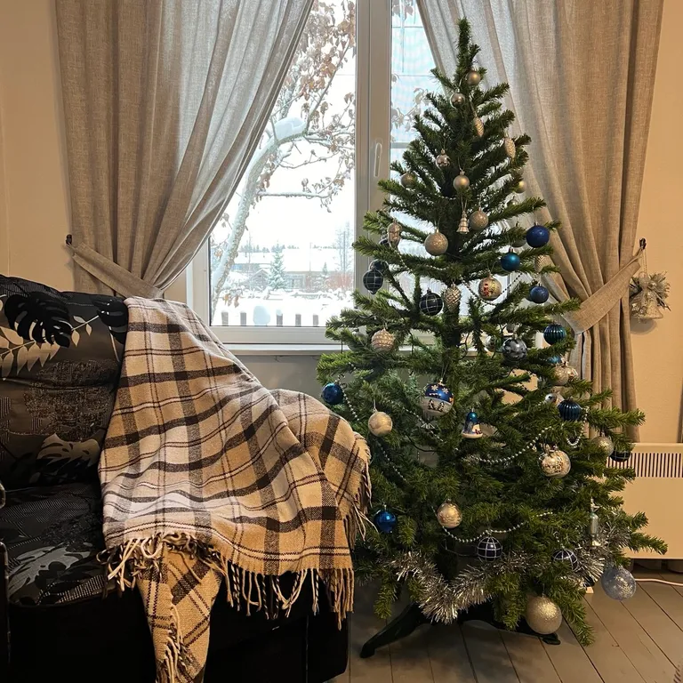 Дом с баней у леса