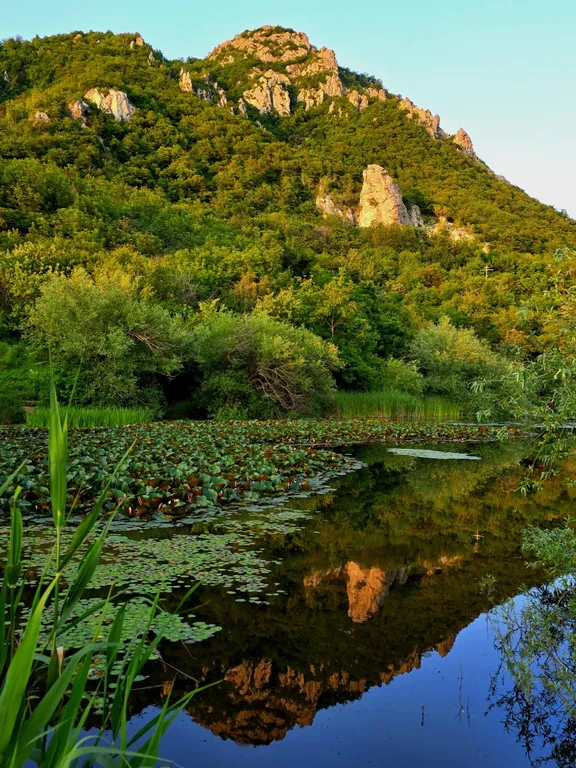 Уютная 1-комнатная квартира в центре города