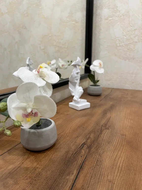 Дом с электросауной