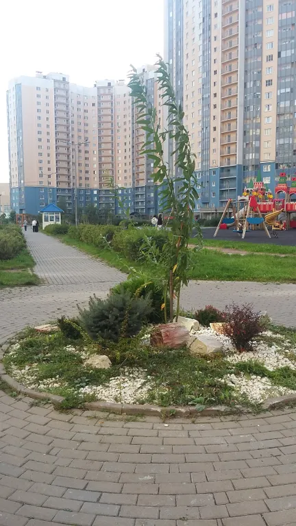 Квартира Квартира Взгляд с высоты Авроры на Неву — Санкт-Петербург