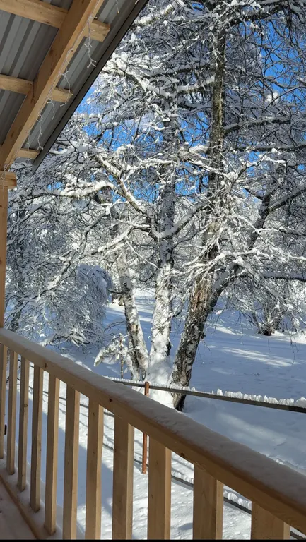 Новый дом в лесу Архыза