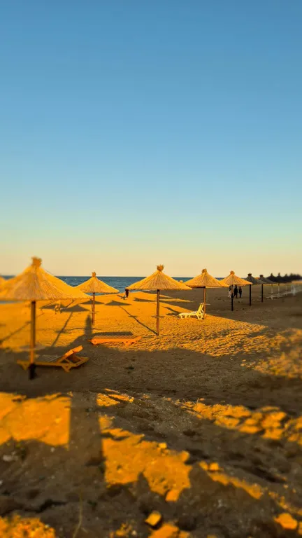 Комната на берегу моря