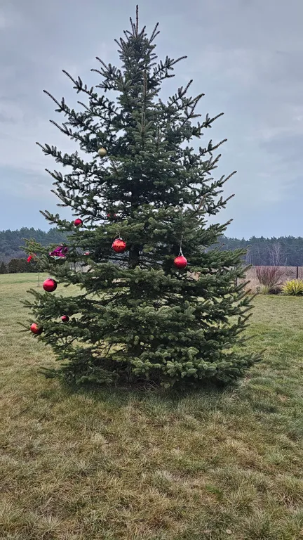 Агроусадьба Лесная Паулинка