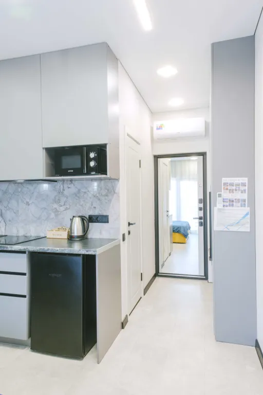 Квартира 1-комнатная Квартира — Сириус