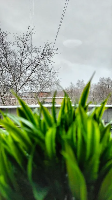 Чистая и светлая квартира в развитом районе