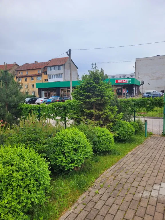 Квартира Уютная квартира на лесопарковой — Зеленоградск