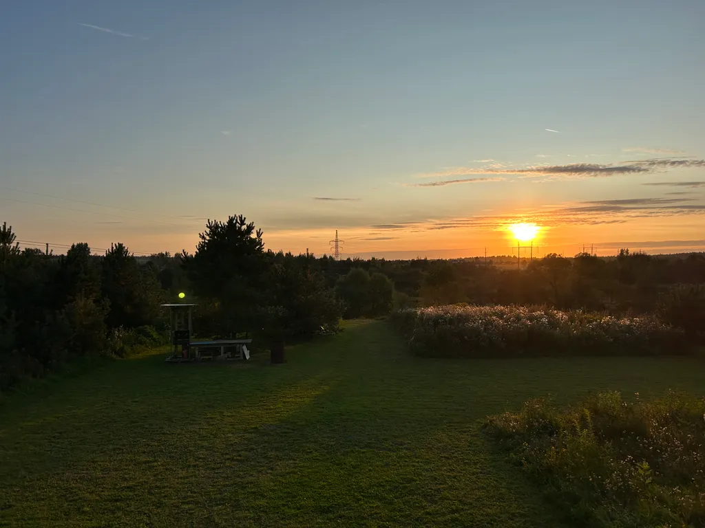 Дом на реке и краю соснового леса