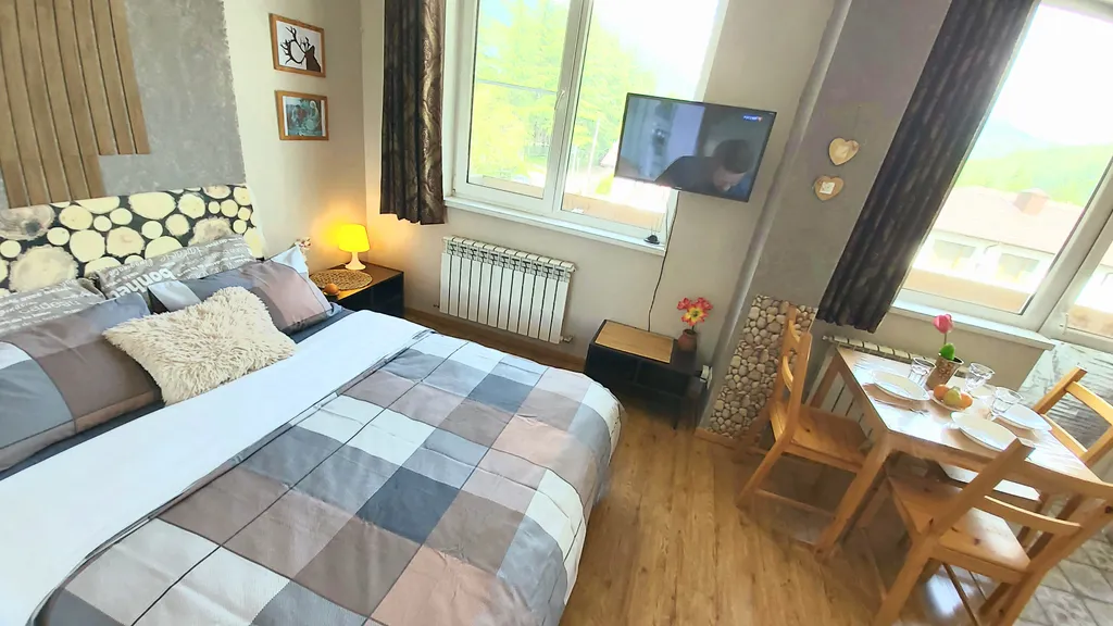 Студия с видом на Горы в центре