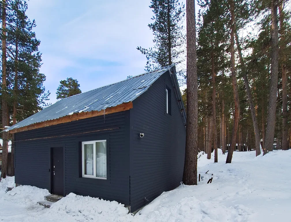 Дом для большой компании