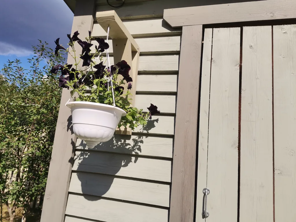 Дом с садом между лесом и рекой