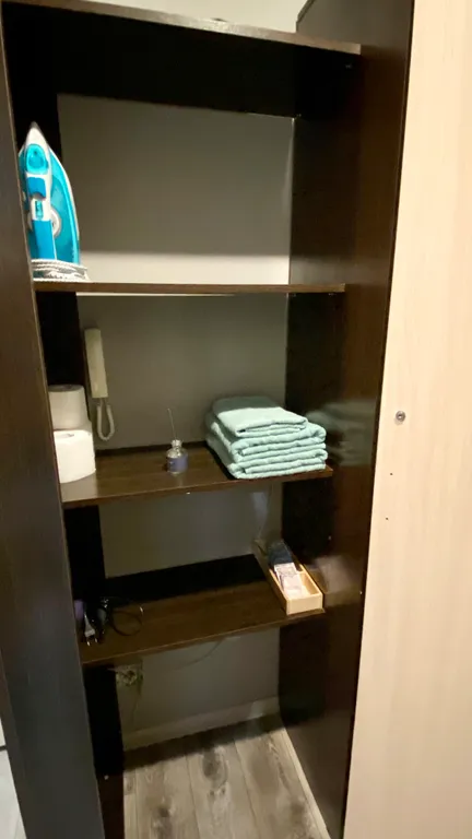 Уютная однокомнатная квартира