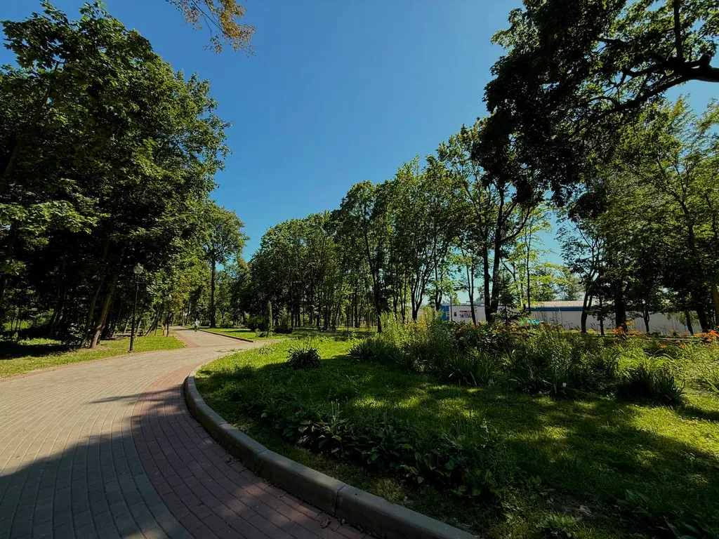 Апартаменты с аквариумом и видом на парк