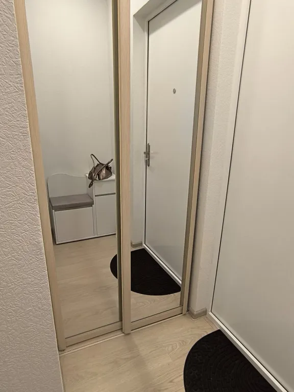 Двухкомнатные апартаменты Оливия Люкс на Плевицкой