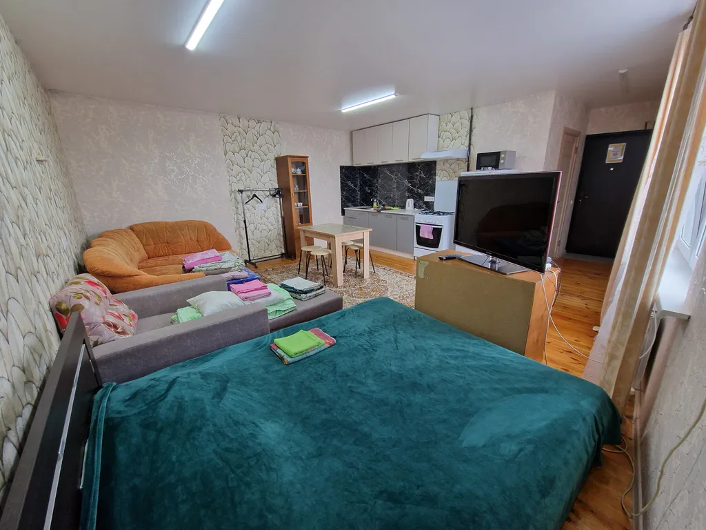 1-комнатная квартира со всеми удобствами в зеленой части города!