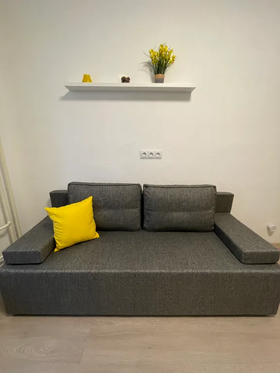 Студия в сосновом бору