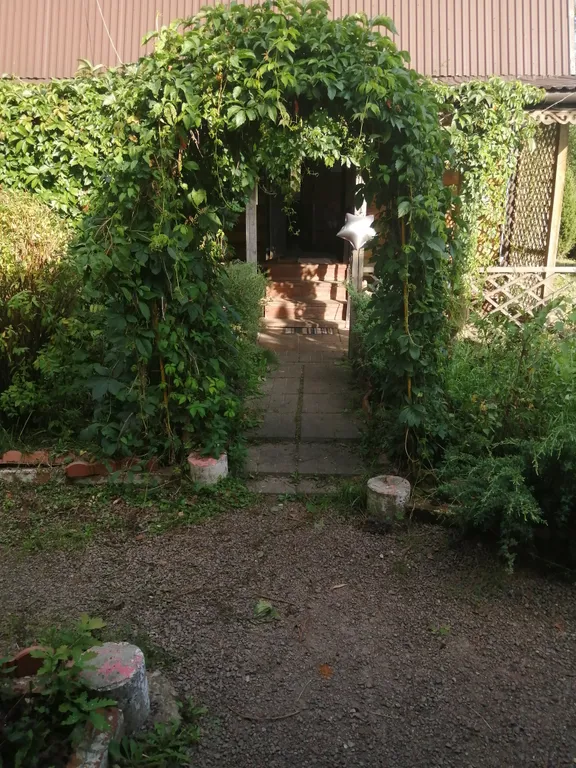 Медвежий угол