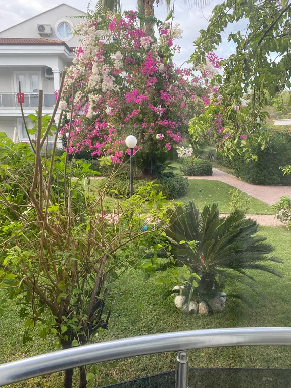 Уютные апартаменты у моря