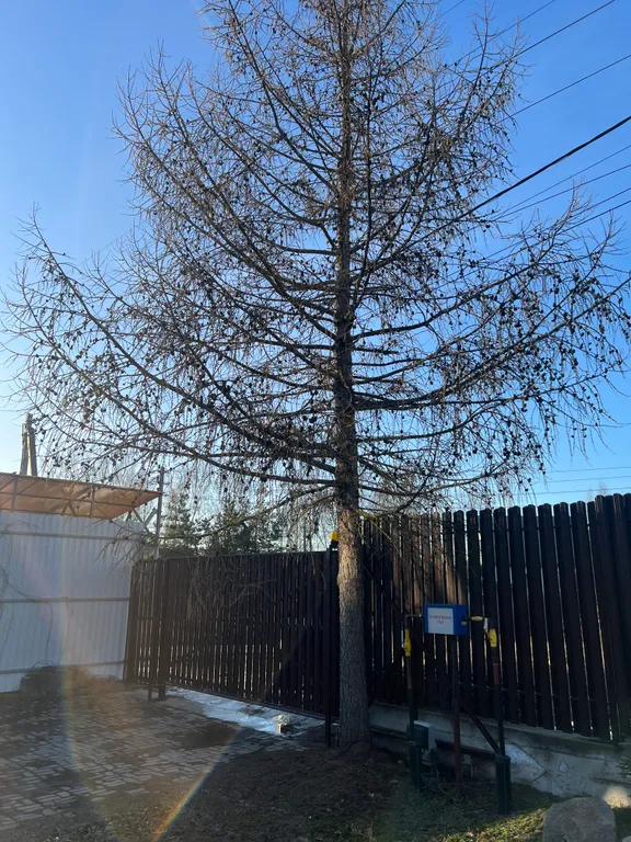 Коттедж Уютный коттедж со всеми удобствами — Янино-1