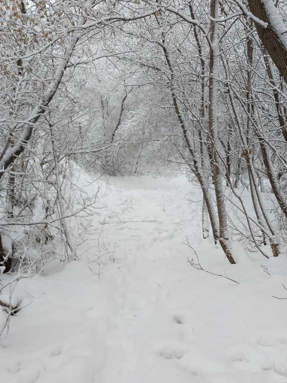 Большой дом с камином и новой баней