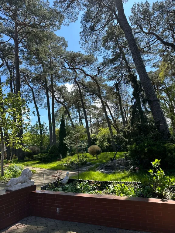 Сказочный домик в лесу, у моря